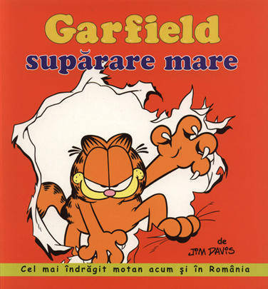 Garfield, supărare mare